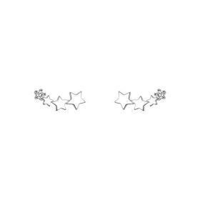 High-grade Light Luxury Design Sense Frosty Style Stud Earrings (Option: Silver)