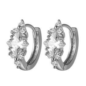 European And American Personalized Square Zircon Earrings (Option: Silver)
